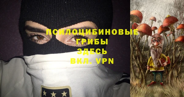 гидра Покровск